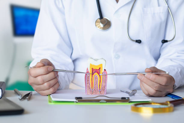 Best Emergency Treatment for Toothache in North Bonneville, WA